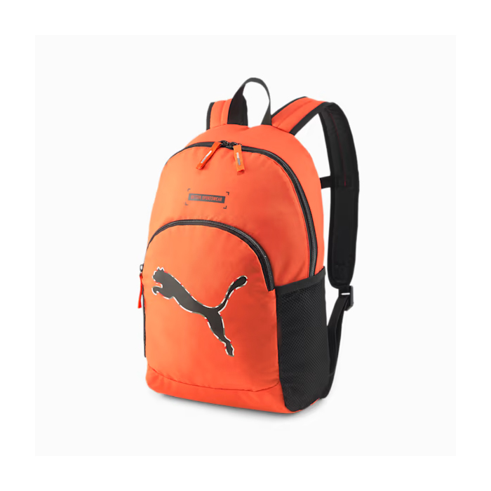 CARTERA PUMA