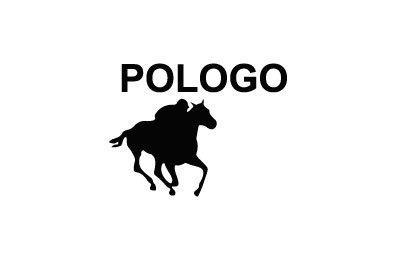 Marca POLO GO